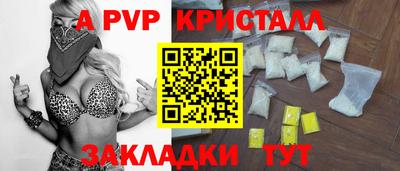 гашик Будённовск