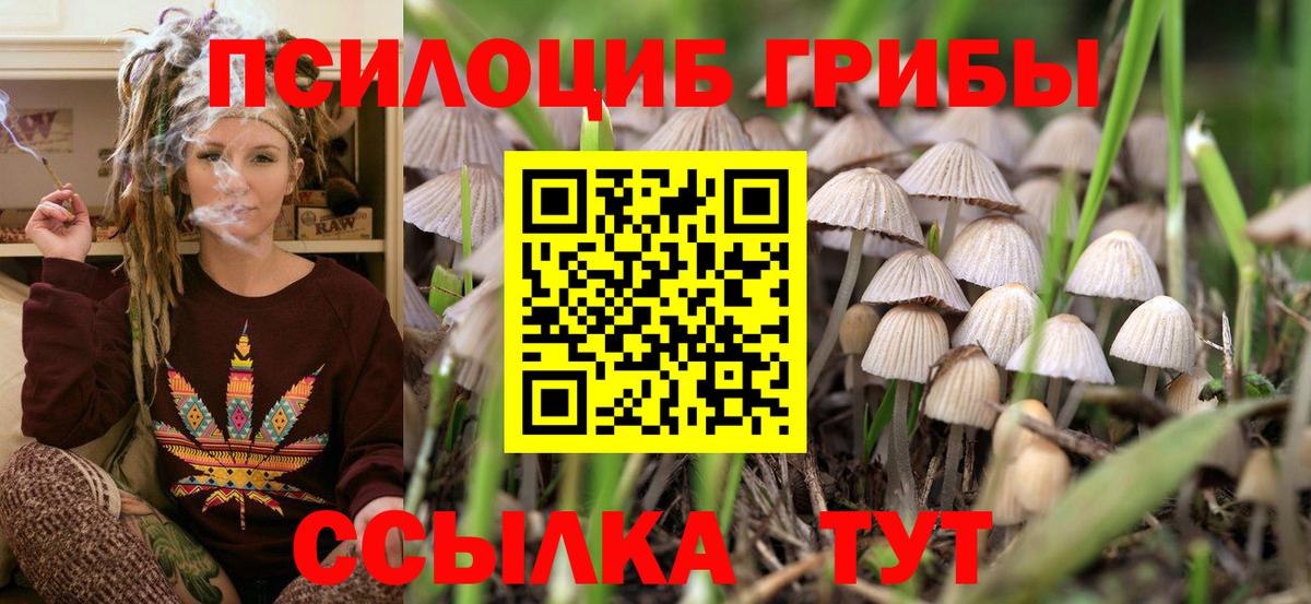 Семёнов  Галлюциногенные грибы Cubensis  Галлюциногенные грибы MAGIC MUSHROOMS  где продают наркотики  Вход с VPN 